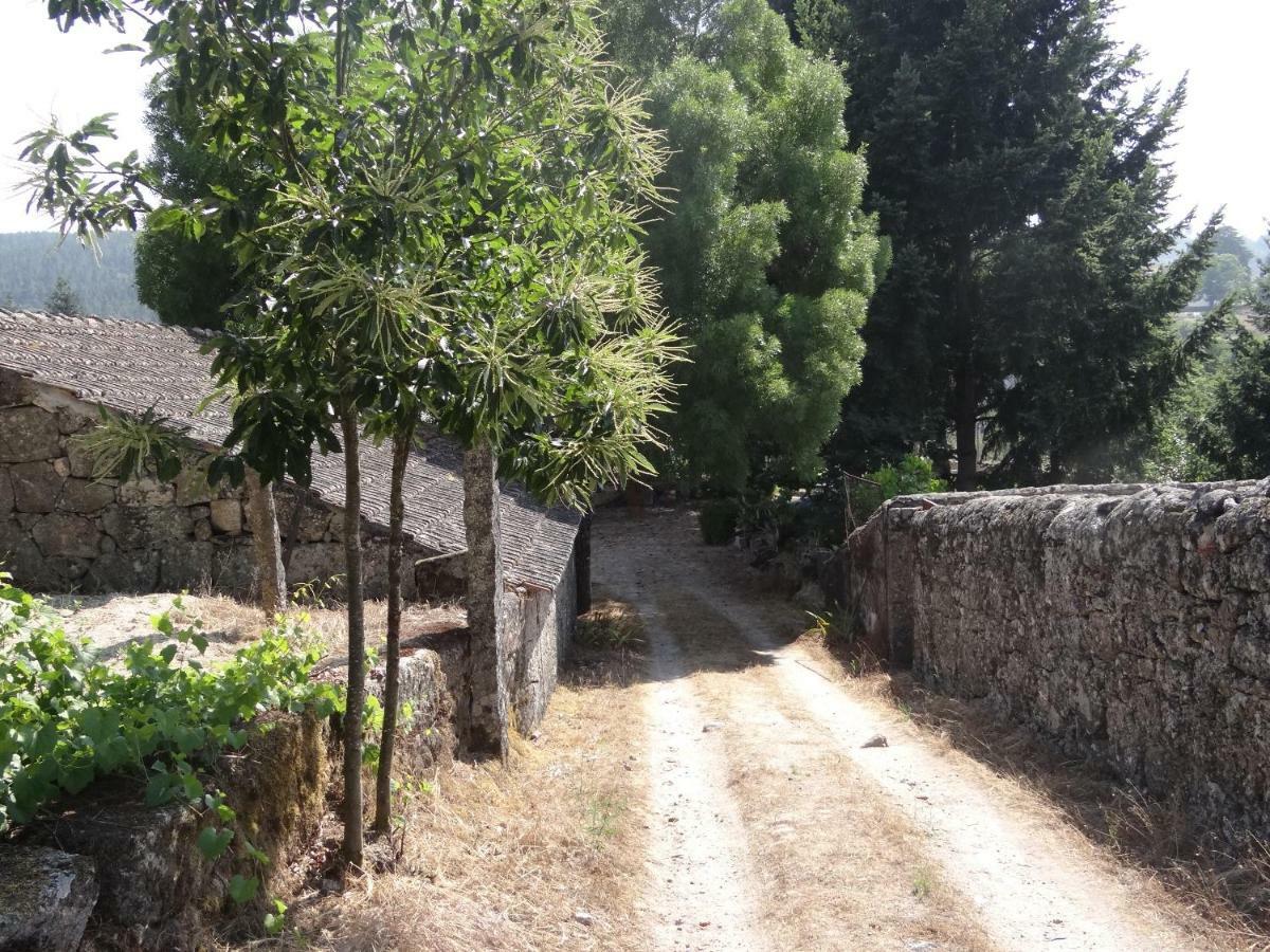 Gasthaus Museu Casa Aleixo Sernancelhe Exterior foto